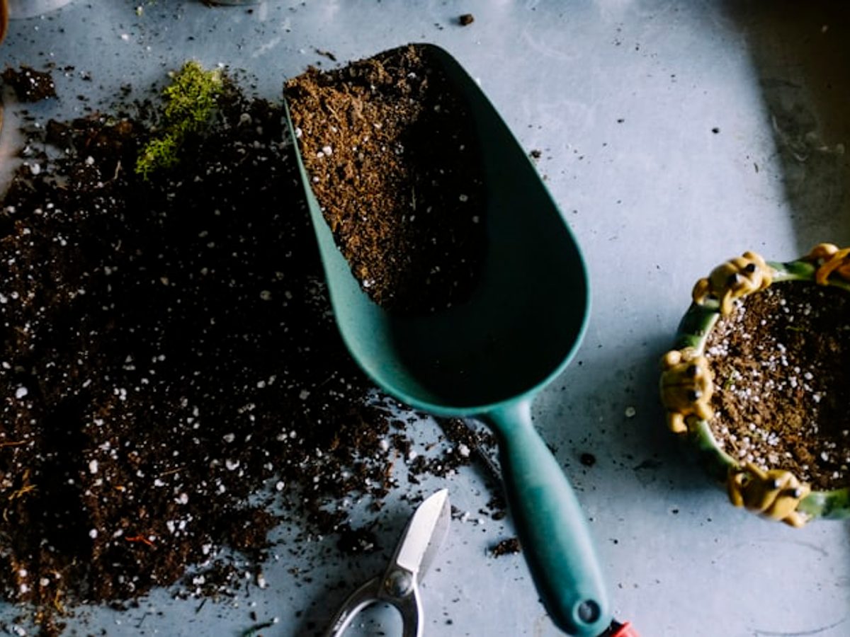 Gardening tools and soil for lawn and plant care