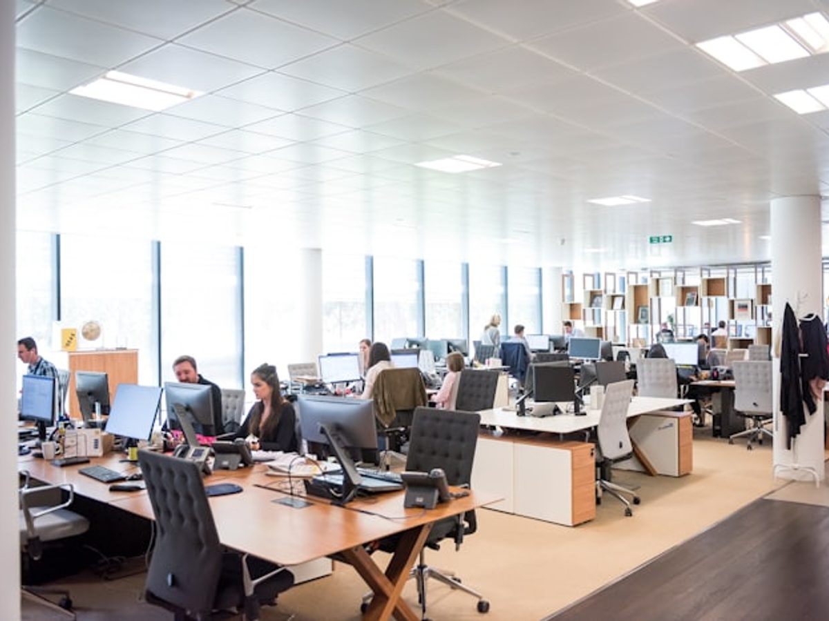 Office support staff working in an office